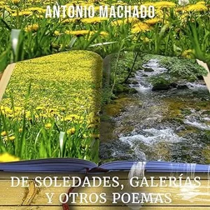 De Soledades
