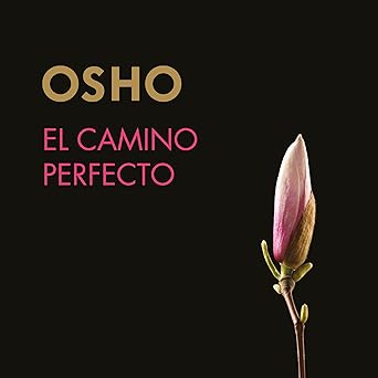 El Camino Perfecto Audiolibro gratis